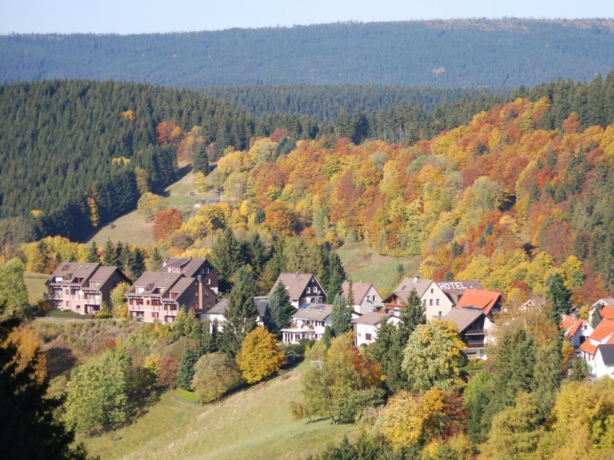Ferienwohnung Hexe Mit Komfort **** Sankt Andreasberg Exteriör bild
